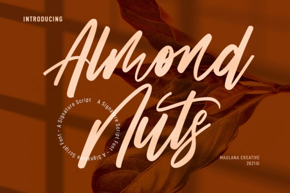 Almond Nuts Font Review
