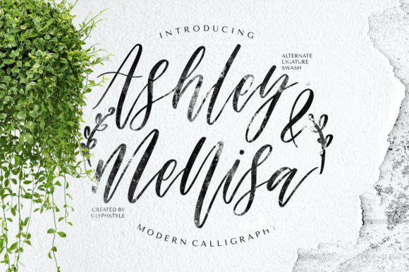 Ashley Mellisa: A Font for Creative Campaigns