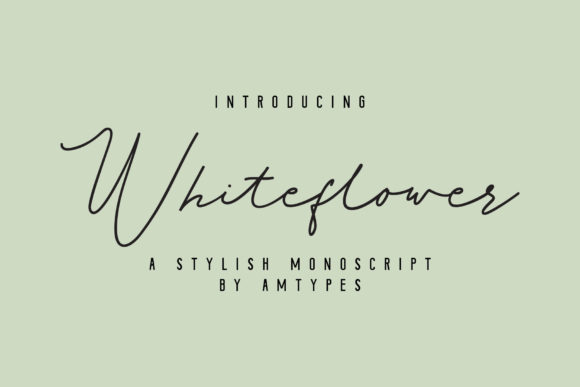Whiteflower Font Review